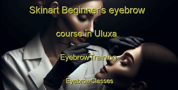 Skinart Beginner's eyebrow course in Uluxa | EyebrowTraining | EyebrowClasses | SkinartTraining-South Africa