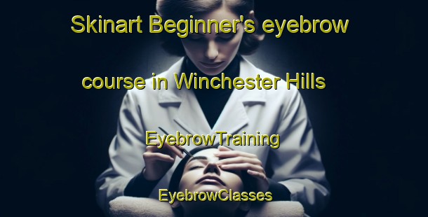 Skinart Beginner's eyebrow course in Winchester Hills | EyebrowTraining | EyebrowClasses | SkinartTraining-South Africa