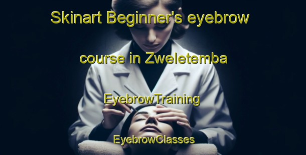 Skinart Beginner's eyebrow course in Zweletemba | EyebrowTraining | EyebrowClasses | SkinartTraining-South Africa