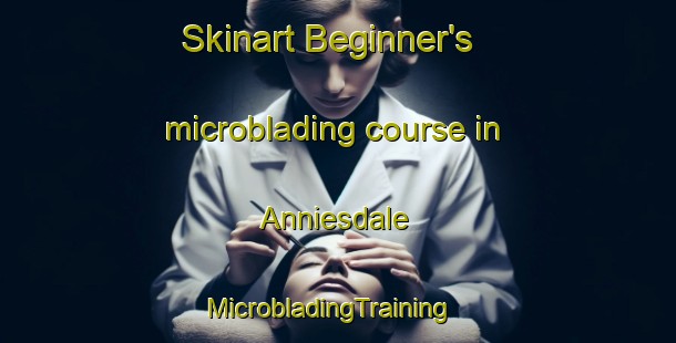 Skinart Beginner's microblading course in Anniesdale | MicrobladingTraining | MicrobladingClasses | SkinartTraining-South Africa