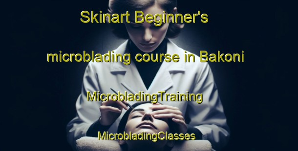 Skinart Beginner's microblading course in Bakoni | MicrobladingTraining | MicrobladingClasses | SkinartTraining-South Africa
