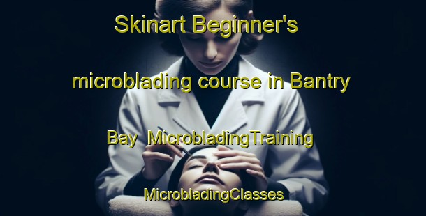 Skinart Beginner's microblading course in Bantry Bay | #MicrobladingTraining #MicrobladingClasses #SkinartTraining-South Africa