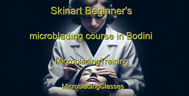 Skinart Beginner's microblading course in Bodini | MicrobladingTraining | MicrobladingClasses | SkinartTraining-South Africa