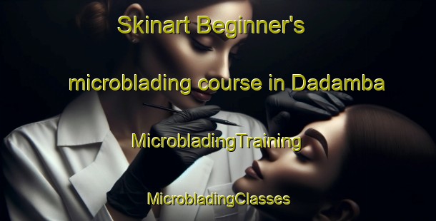 Skinart Beginner's microblading course in Dadamba | #MicrobladingTraining #MicrobladingClasses #SkinartTraining-South Africa