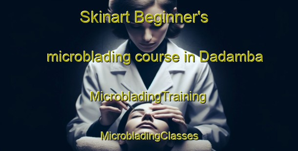 Skinart Beginner's microblading course in Dadamba | #MicrobladingTraining #MicrobladingClasses #SkinartTraining-South Africa