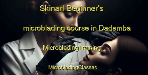 Skinart Beginner's microblading course in Dadamba | MicrobladingTraining | MicrobladingClasses | SkinartTraining-South Africa