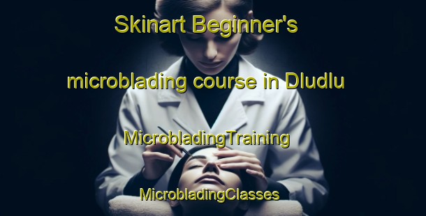 Skinart Beginner's microblading course in Dludlu | MicrobladingTraining | MicrobladingClasses | SkinartTraining-South Africa
