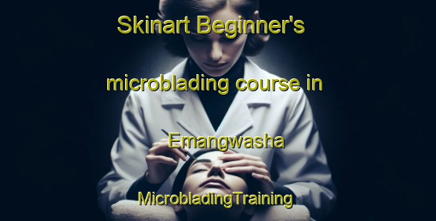 Skinart Beginner's microblading course in Emangwasha | #MicrobladingTraining #MicrobladingClasses #SkinartTraining-South Africa