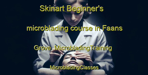 Skinart Beginner's microblading course in Faans Grove | #MicrobladingTraining #MicrobladingClasses #SkinartTraining-South Africa