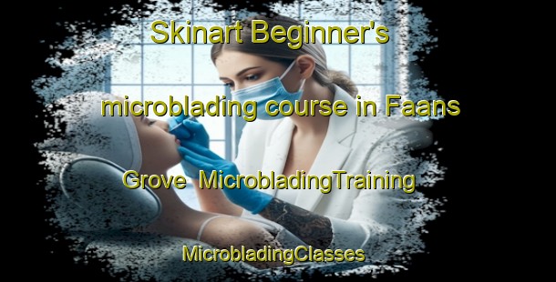 Skinart Beginner's microblading course in Faans Grove | MicrobladingTraining | MicrobladingClasses | SkinartTraining-South Africa