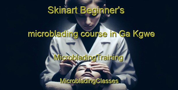 Skinart Beginner's microblading course in Ga Kgwe | #MicrobladingTraining #MicrobladingClasses #SkinartTraining-South Africa