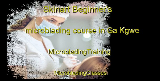 Skinart Beginner's microblading course in Ga Kgwe | #MicrobladingTraining #MicrobladingClasses #SkinartTraining-South Africa