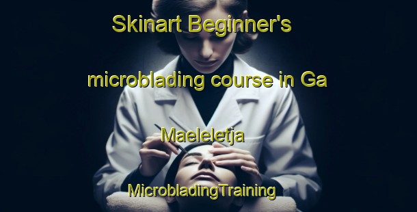 Skinart Beginner's microblading course in Ga Maeleletja | MicrobladingTraining | MicrobladingClasses | SkinartTraining-South Africa