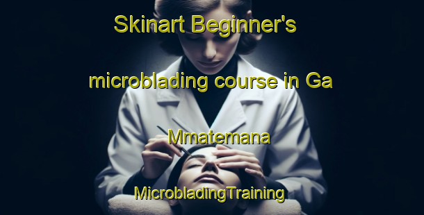 Skinart Beginner's microblading course in Ga Mmatemana | #MicrobladingTraining #MicrobladingClasses #SkinartTraining-South Africa