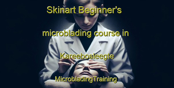 Skinart Beginner's microblading course in Kareebosleegte | #MicrobladingTraining #MicrobladingClasses #SkinartTraining-South Africa