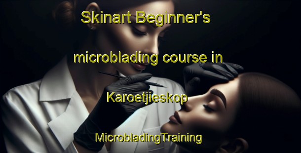 Skinart Beginner's microblading course in Karoetjieskop | #MicrobladingTraining #MicrobladingClasses #SkinartTraining-South Africa