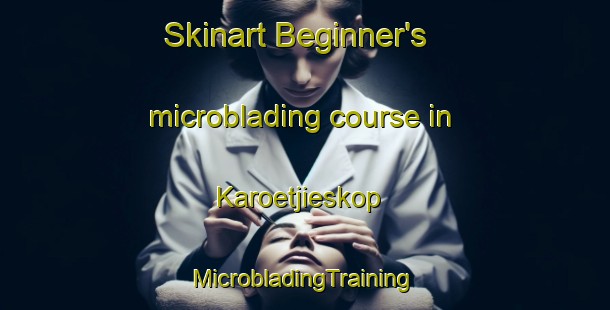 Skinart Beginner's microblading course in Karoetjieskop | #MicrobladingTraining #MicrobladingClasses #SkinartTraining-South Africa