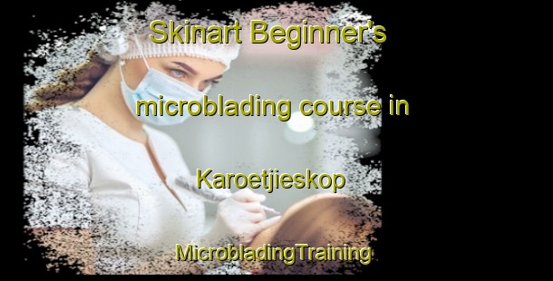 Skinart Beginner's microblading course in Karoetjieskop | #MicrobladingTraining #MicrobladingClasses #SkinartTraining-South Africa