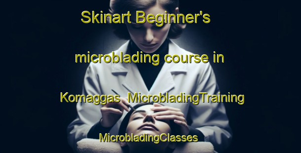 Skinart Beginner's microblading course in Komaggas | MicrobladingTraining | MicrobladingClasses | SkinartTraining-South Africa