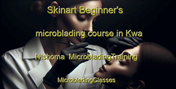 Skinart Beginner's microblading course in Kwa Ntshoma | MicrobladingTraining | MicrobladingClasses | SkinartTraining-South Africa