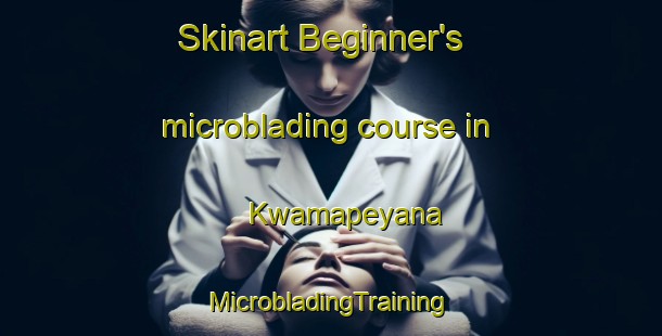 Skinart Beginner's microblading course in Kwamapeyana | #MicrobladingTraining #MicrobladingClasses #SkinartTraining-South Africa