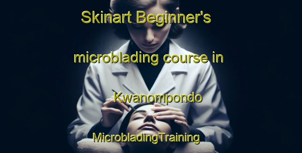 Skinart Beginner's microblading course in Kwanompondo | MicrobladingTraining | MicrobladingClasses | SkinartTraining-South Africa