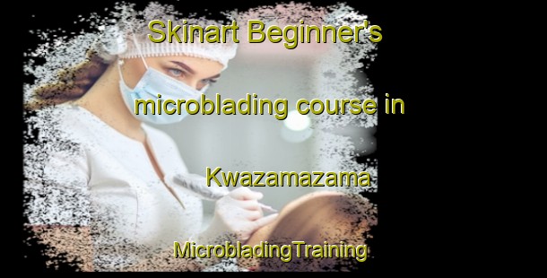 Skinart Beginner's microblading course in Kwazamazama | #MicrobladingTraining #MicrobladingClasses #SkinartTraining-South Africa