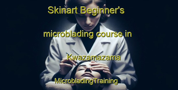 Skinart Beginner's microblading course in Kwazamazama | MicrobladingTraining | MicrobladingClasses | SkinartTraining-South Africa
