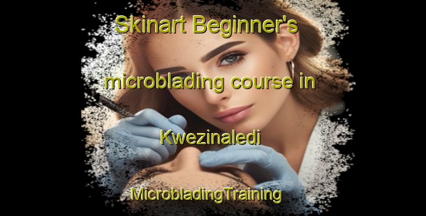 Skinart Beginner's microblading course in Kwezinaledi | MicrobladingTraining | MicrobladingClasses | SkinartTraining-South Africa