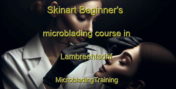 Skinart Beginner's microblading course in Lambrechtsdrif | #MicrobladingTraining #MicrobladingClasses #SkinartTraining-South Africa