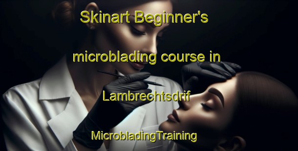 Skinart Beginner's microblading course in Lambrechtsdrif | MicrobladingTraining | MicrobladingClasses | SkinartTraining-South Africa