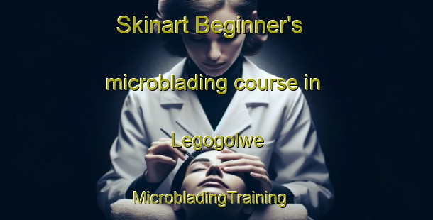 Skinart Beginner's microblading course in Legogolwe | MicrobladingTraining | MicrobladingClasses | SkinartTraining-South Africa