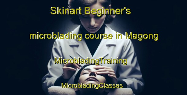 Skinart Beginner's microblading course in Magong | MicrobladingTraining | MicrobladingClasses | SkinartTraining-South Africa
