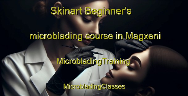 Skinart Beginner's microblading course in Magxeni | #MicrobladingTraining #MicrobladingClasses #SkinartTraining-South Africa