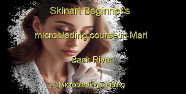 Skinart Beginner's microblading course in Marl Bank River | #MicrobladingTraining #MicrobladingClasses #SkinartTraining-South Africa