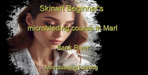 Skinart Beginner's microblading course in Marl Bank River | MicrobladingTraining | MicrobladingClasses | SkinartTraining-South Africa