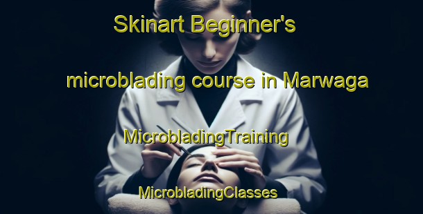 Skinart Beginner's microblading course in Marwaga | MicrobladingTraining | MicrobladingClasses | SkinartTraining-South Africa
