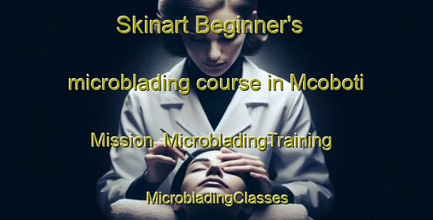 Skinart Beginner's microblading course in Mcoboti Mission | #MicrobladingTraining #MicrobladingClasses #SkinartTraining-South Africa