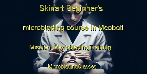 Skinart Beginner's microblading course in Mcoboti Mission | MicrobladingTraining | MicrobladingClasses | SkinartTraining-South Africa