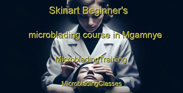 Skinart Beginner's microblading course in Mgamnye | #MicrobladingTraining #MicrobladingClasses #SkinartTraining-South Africa