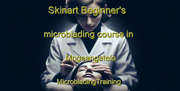 Skinart Beginner's microblading course in Mngeangatelo | #MicrobladingTraining #MicrobladingClasses #SkinartTraining-South Africa