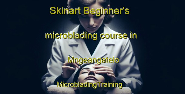 Skinart Beginner's microblading course in Mngeangatelo | MicrobladingTraining | MicrobladingClasses | SkinartTraining-South Africa