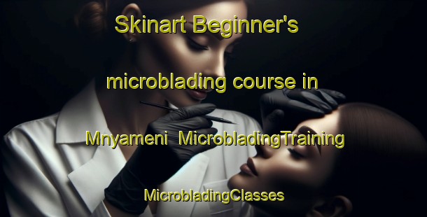 Skinart Beginner's microblading course in Mnyameni | #MicrobladingTraining #MicrobladingClasses #SkinartTraining-South Africa