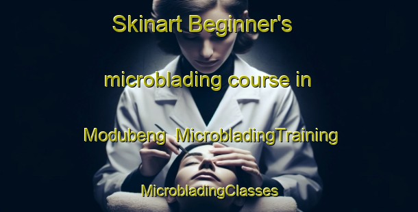 Skinart Beginner's microblading course in Modubeng | #MicrobladingTraining #MicrobladingClasses #SkinartTraining-South Africa