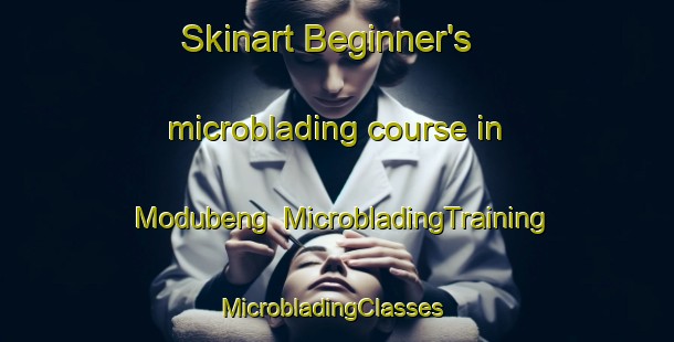 Skinart Beginner's microblading course in Modubeng | MicrobladingTraining | MicrobladingClasses | SkinartTraining-South Africa