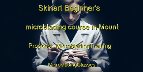 Skinart Beginner's microblading course in Mount Prospect | #MicrobladingTraining #MicrobladingClasses #SkinartTraining-South Africa