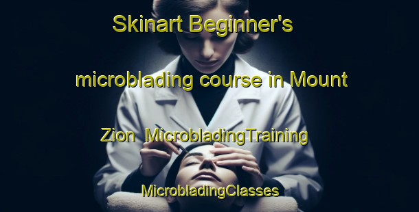 Skinart Beginner's microblading course in Mount Zion | #MicrobladingTraining #MicrobladingClasses #SkinartTraining-South Africa