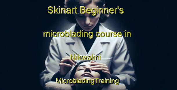 Skinart Beginner's microblading course in Nikwalini | #MicrobladingTraining #MicrobladingClasses #SkinartTraining-South Africa