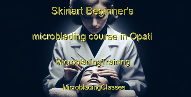 Skinart Beginner's microblading course in Opati | MicrobladingTraining | MicrobladingClasses | SkinartTraining-South Africa