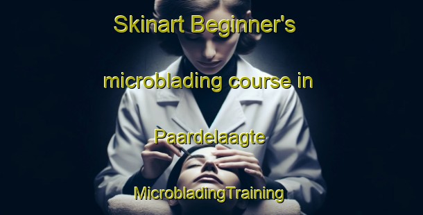 Skinart Beginner's microblading course in Paardelaagte | #MicrobladingTraining #MicrobladingClasses #SkinartTraining-South Africa